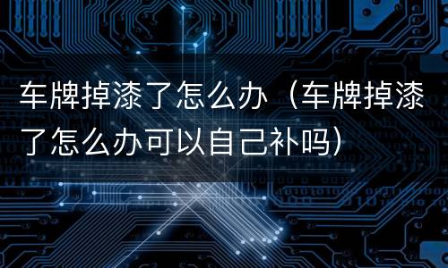 车牌掉漆了怎么办（车牌掉漆了怎么办可以自己补吗）