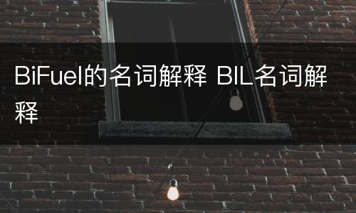 BiFuel的名词解释 BIL名词解释