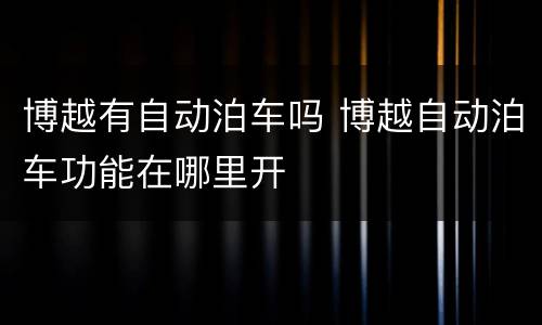 博越有自动泊车吗 博越自动泊车功能在哪里开