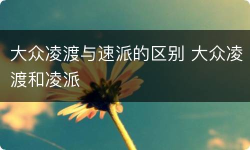 大众凌渡与速派的区别 大众凌渡和凌派
