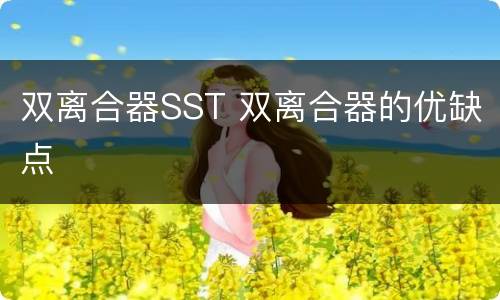 双离合器SST 双离合器的优缺点