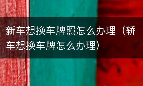 新车想换车牌照怎么办理（轿车想换车牌怎么办理）