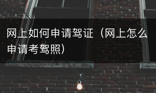 网上如何申请驾证（网上怎么申请考驾照）