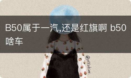 B50属于一汽,还是红旗啊 b50啥车