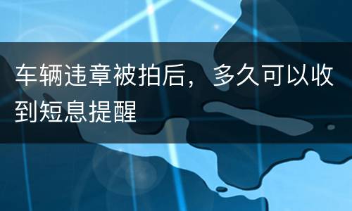 车辆违章被拍后，多久可以收到短息提醒