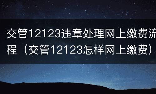 交管12123违章处理网上缴费流程（交管12123怎样网上缴费）