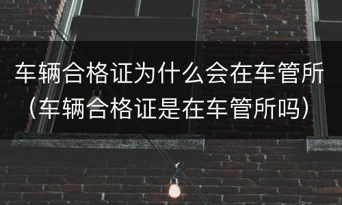 车辆合格证为什么会在车管所（车辆合格证是在车管所吗）
