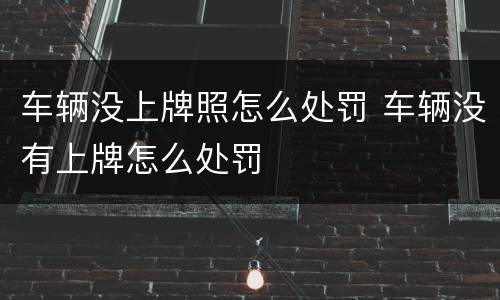 车辆没上牌照怎么处罚 车辆没有上牌怎么处罚