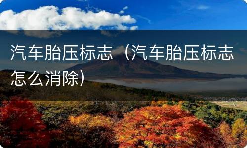 汽车胎压标志（汽车胎压标志怎么消除）