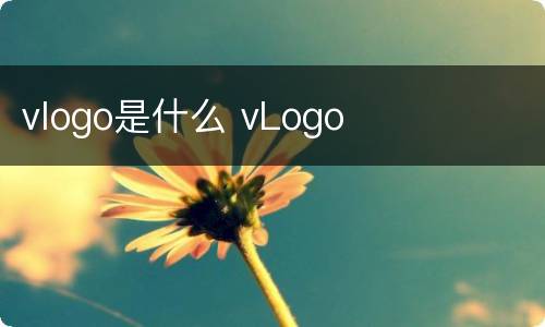 vlogo是什么 vLogo