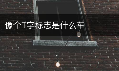 像个T字标志是什么车
