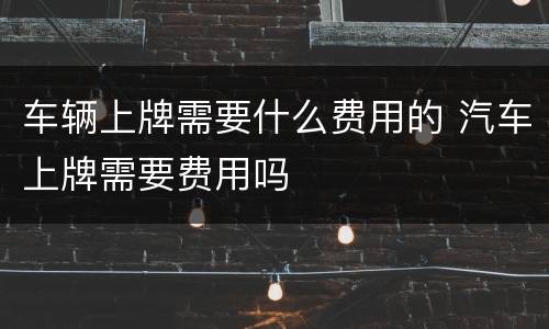 车辆上牌需要什么费用的 汽车上牌需要费用吗