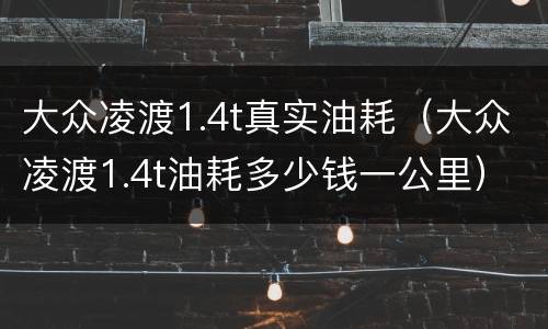 大众凌渡1.4t真实油耗（大众凌渡1.4t油耗多少钱一公里）