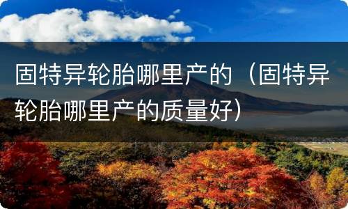 固特异轮胎哪里产的（固特异轮胎哪里产的质量好）