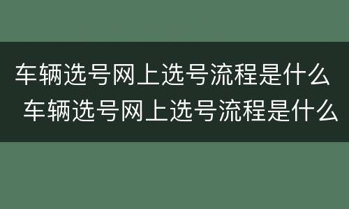 车辆选号网上选号流程是什么 车辆选号网上选号流程是什么样的