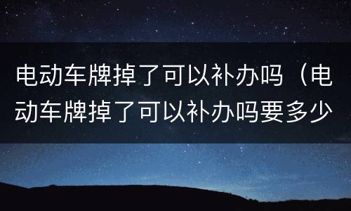 电动车牌掉了可以补办吗（电动车牌掉了可以补办吗要多少钱）