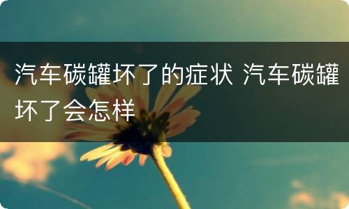 汽车碳罐坏了的症状 汽车碳罐坏了会怎样