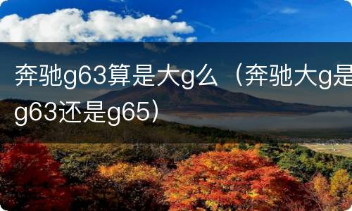 奔驰g63算是大g么（奔驰大g是g63还是g65）