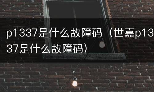 p1337是什么故障码（世嘉p1337是什么故障码）