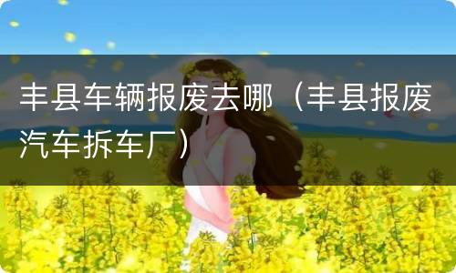 丰县车辆报废去哪（丰县报废汽车拆车厂）