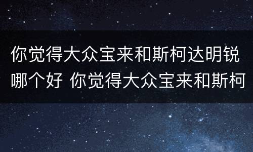 你觉得大众宝来和斯柯达明锐哪个好 你觉得大众宝来和斯柯达明锐哪个好点