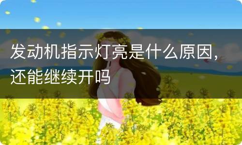 发动机指示灯亮是什么原因，还能继续开吗
