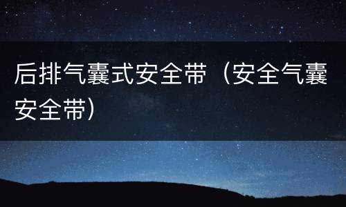 后排气囊式安全带（安全气囊安全带）
