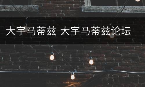 大宇马蒂兹 大宇马蒂兹论坛