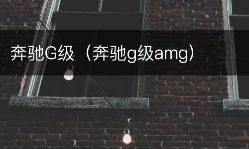 奔驰G级（奔驰g级amg）