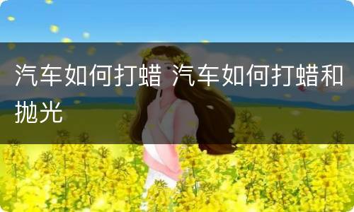 汽车如何打蜡 汽车如何打蜡和抛光