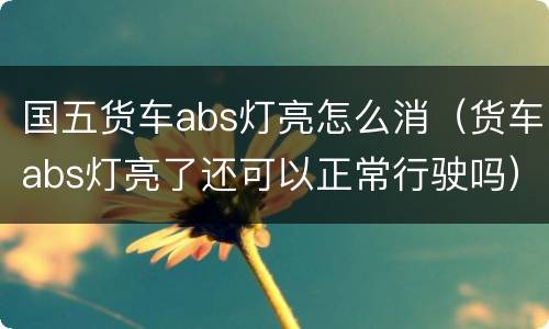国五货车abs灯亮怎么消（货车abs灯亮了还可以正常行驶吗）