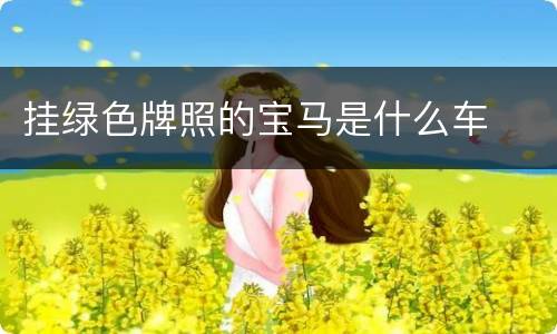 挂绿色牌照的宝马是什么车