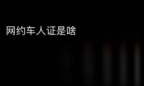网约车人证是啥
