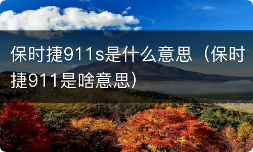 保时捷911s是什么意思（保时捷911是啥意思）