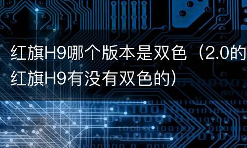 红旗H9哪个版本是双色（2.0的红旗H9有没有双色的）
