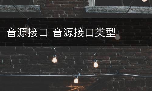 音源接口 音源接口类型