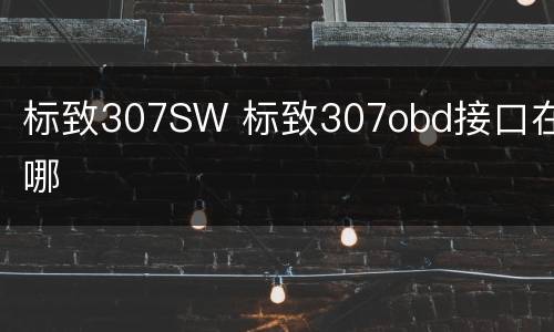 标致307SW 标致307obd接口在哪