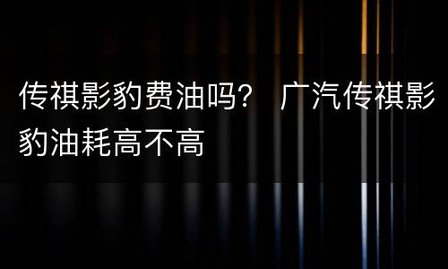 传祺影豹费油吗？ 广汽传祺影豹油耗高不高