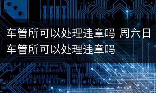 车管所可以处理违章吗 周六日车管所可以处理违章吗