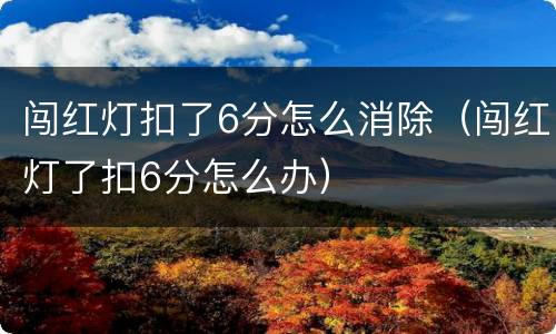 闯红灯扣了6分怎么消除（闯红灯了扣6分怎么办）