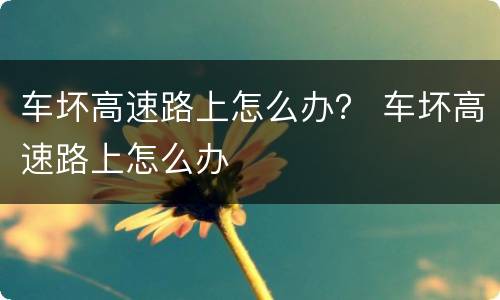 车坏高速路上怎么办？ 车坏高速路上怎么办