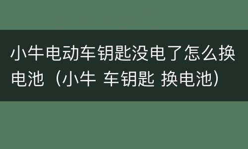 小牛电动车钥匙没电了怎么换电池（小牛 车钥匙 换电池）