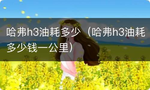 哈弗h3油耗多少（哈弗h3油耗多少钱一公里）