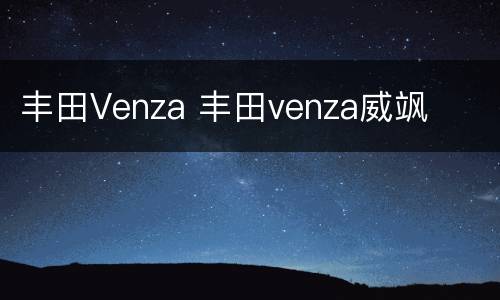 丰田Venza 丰田venza威飒
