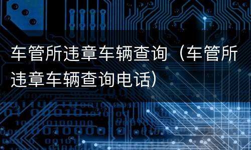 车管所违章车辆查询（车管所违章车辆查询电话）