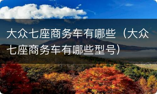 大众七座商务车有哪些（大众七座商务车有哪些型号）