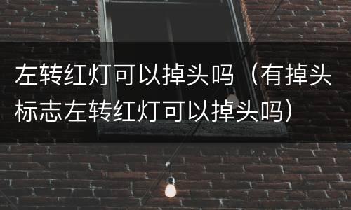 左转红灯可以掉头吗（有掉头标志左转红灯可以掉头吗）