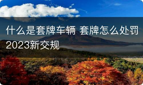 什么是套牌车辆 套牌怎么处罚2023新交规