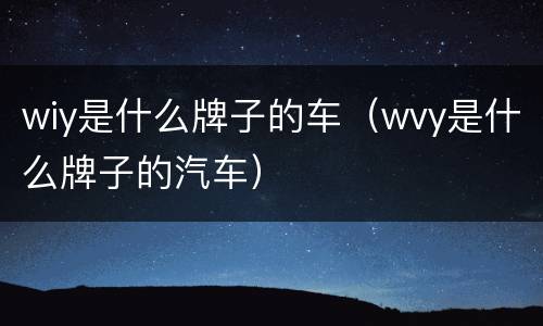 wiy是什么牌子的车（wvy是什么牌子的汽车）