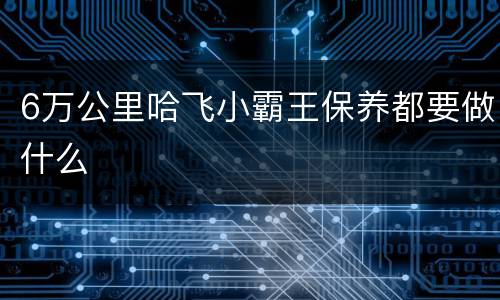 6万公里哈飞小霸王保养都要做什么